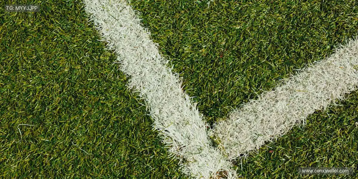 💪专业装备,品质之选!🏋️提升性能,超越自我!